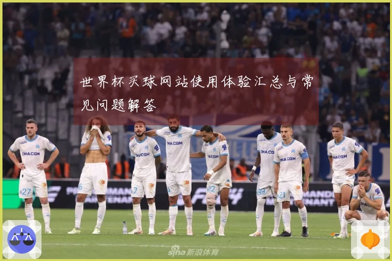 世界杯买球网站使用体验汇总与常见问题解答