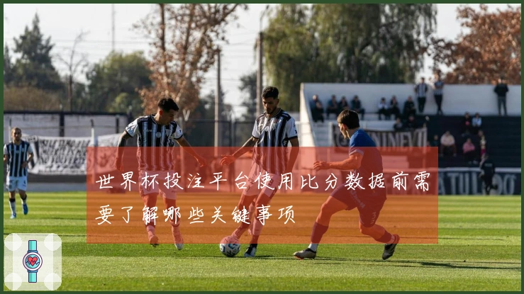 世界杯投注平台使用比分数据前需要了解哪些关键事项