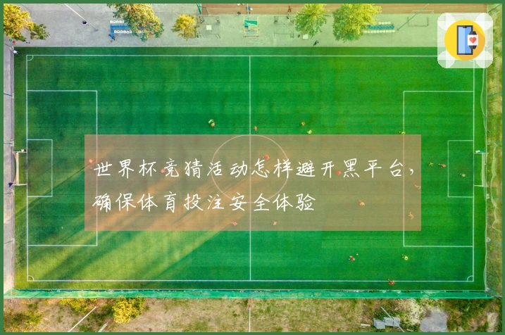 世界杯竞猜活动怎样避开黑平台，确保体育投注安全体验