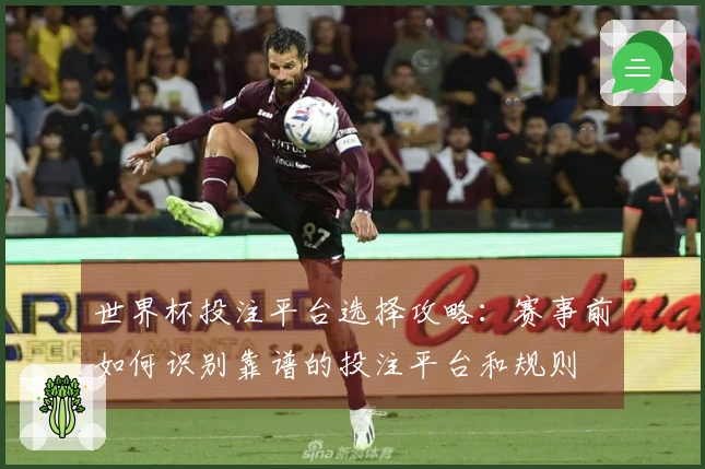 世界杯投注平台选择攻略：赛事前如何识别靠谱的投注平台和规则