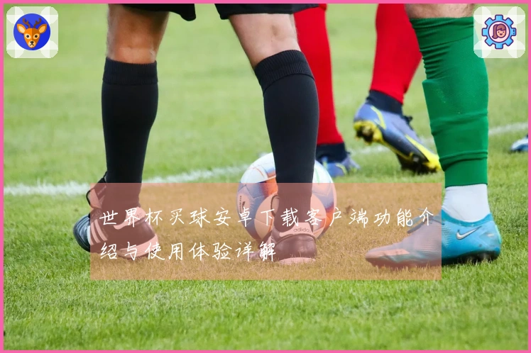 世界杯买球安卓下载客户端功能介绍与使用体验详解