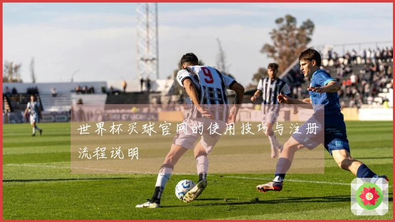 世界杯买球官网的使用技巧与注册流程说明