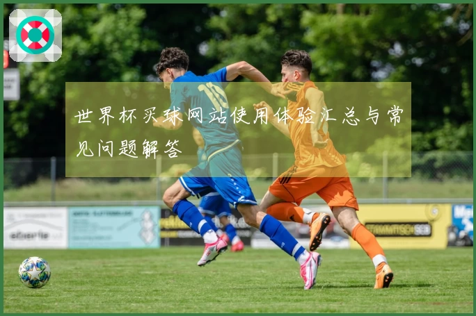 世界杯买球网站使用体验汇总与常见问题解答