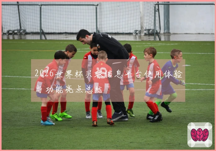 2026世界杯买球信息平台使用体验与功能亮点总结