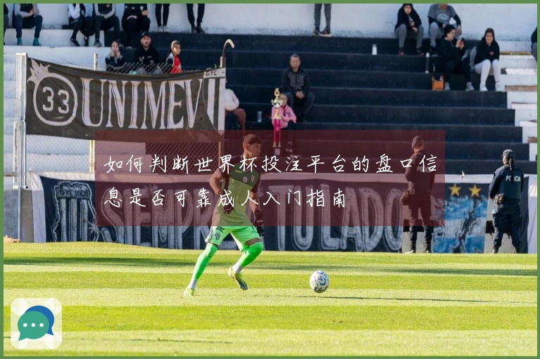 如何判断世界杯投注平台的盘口信息是否可靠成人入门指南