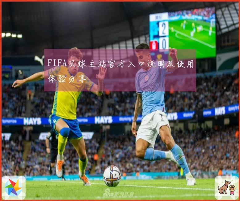 FIFA买球主站官方入口说明及使用体验分享