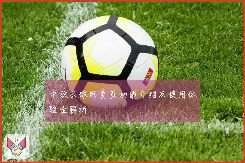中欧买球网首页功能介绍及使用体验全解析