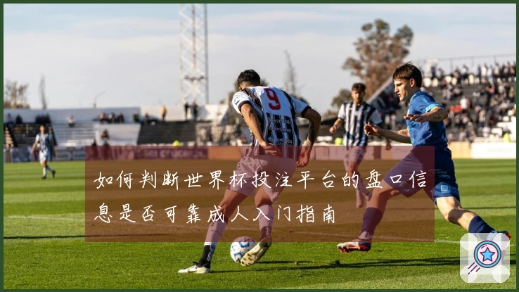 如何判断世界杯投注平台的盘口信息是否可靠成人入门指南