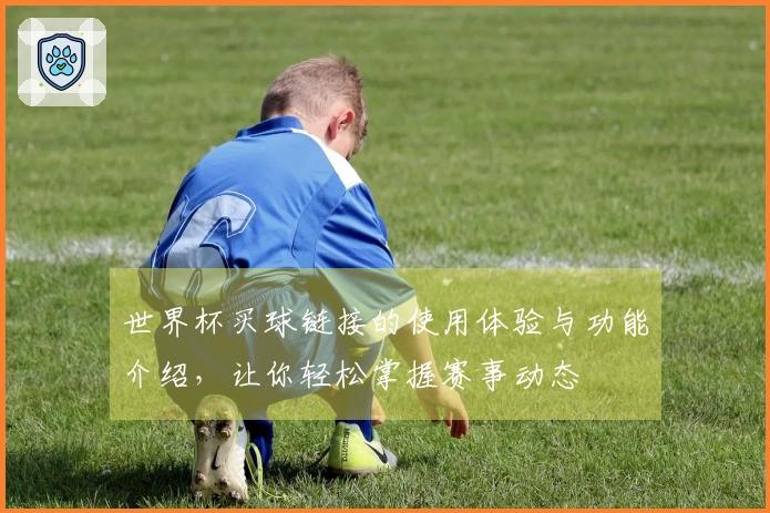 世界杯买球链接的使用体验与功能介绍，让你轻松掌握赛事动态