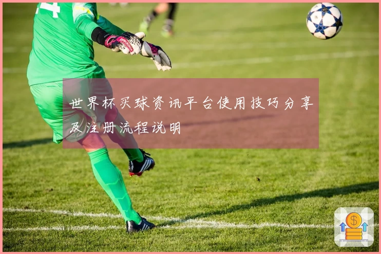世界杯买球资讯平台使用技巧分享及注册流程说明